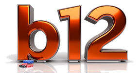 b12